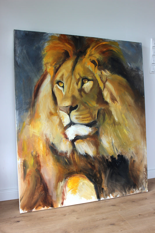 Lion 1